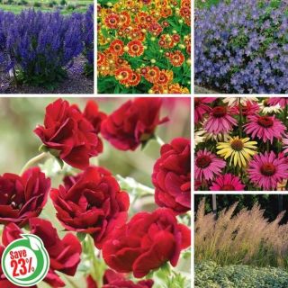 Deer Resistant Garden Collection Thumbnail